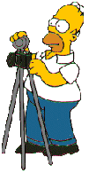 Homer taking pictures