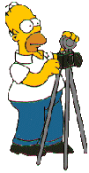 Homer taking pictures